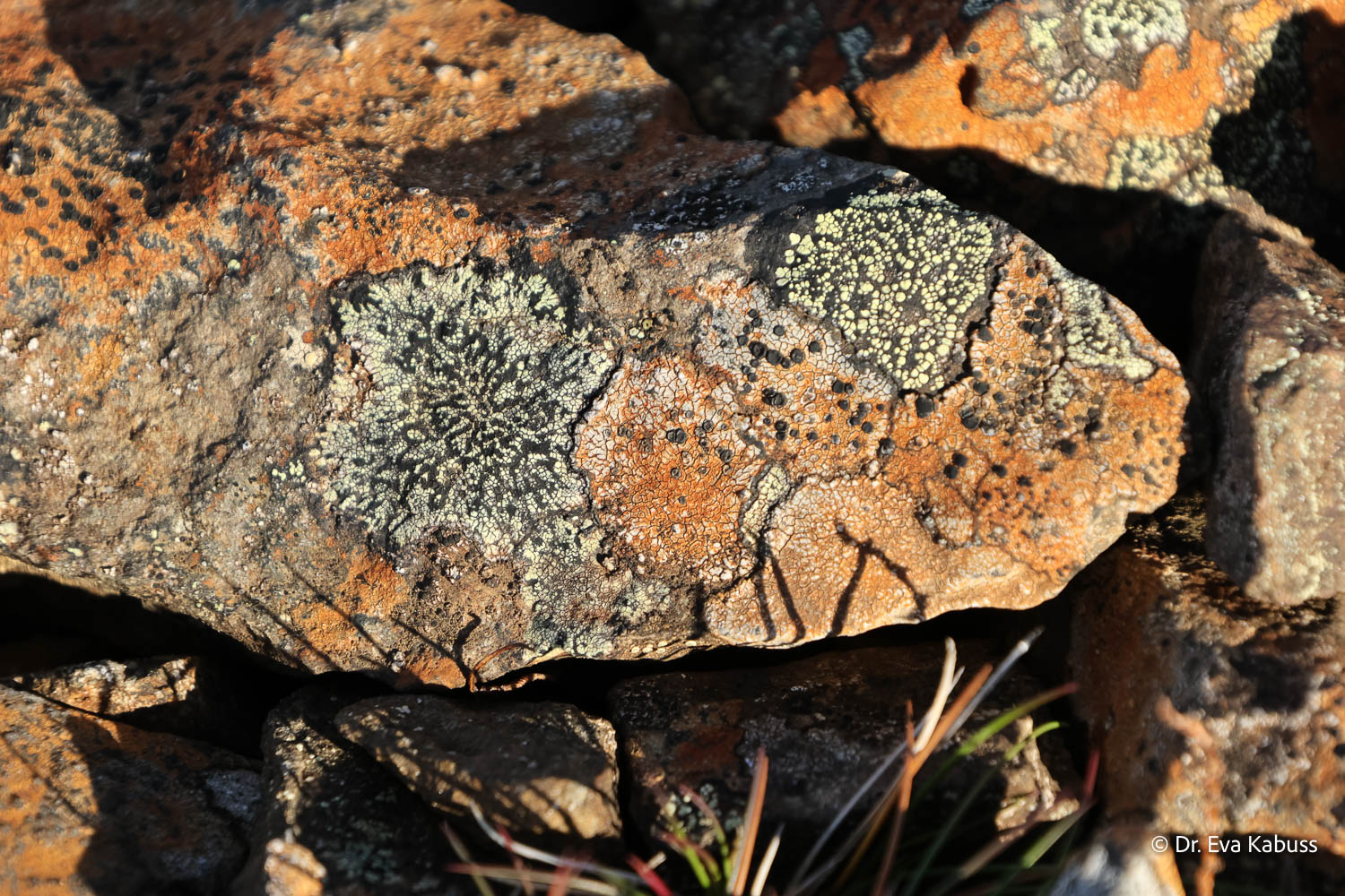 fotos-reisegruppe-island-oktober-2025-170