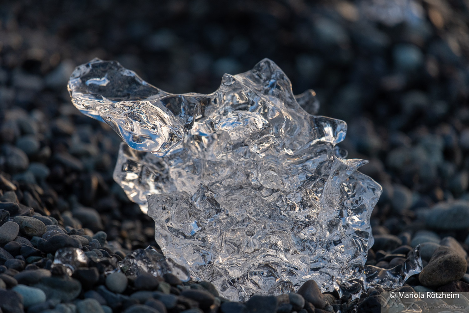 fotos-reisegruppe-island-oktober-2025-174