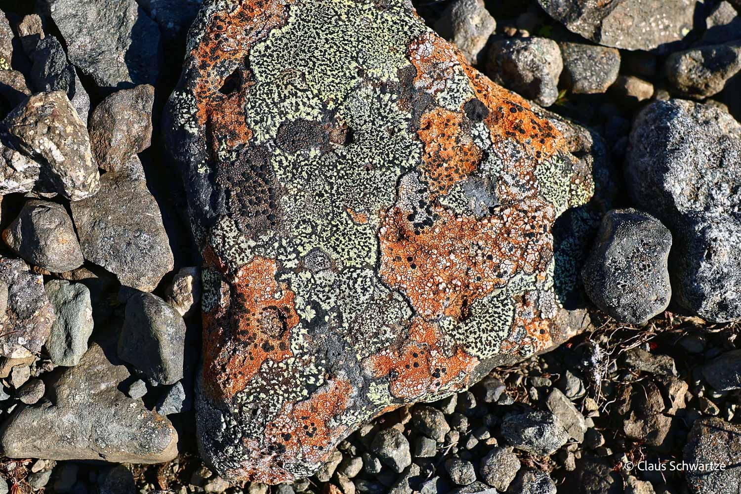 fotos-reisegruppe-island-oktober-2025-179