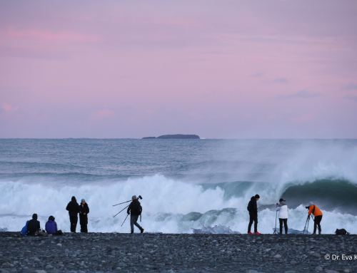 Island Ostfjorde & Süden 2025  – Fotos der Reisegruppe