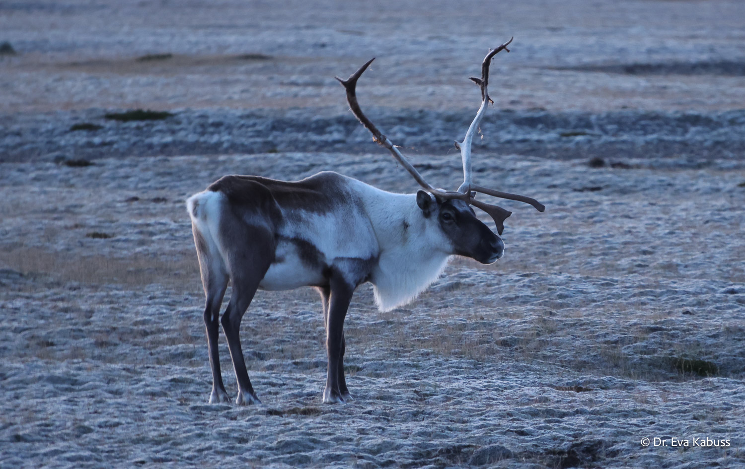 fotos-reisegruppe-island-oktober-2025-189