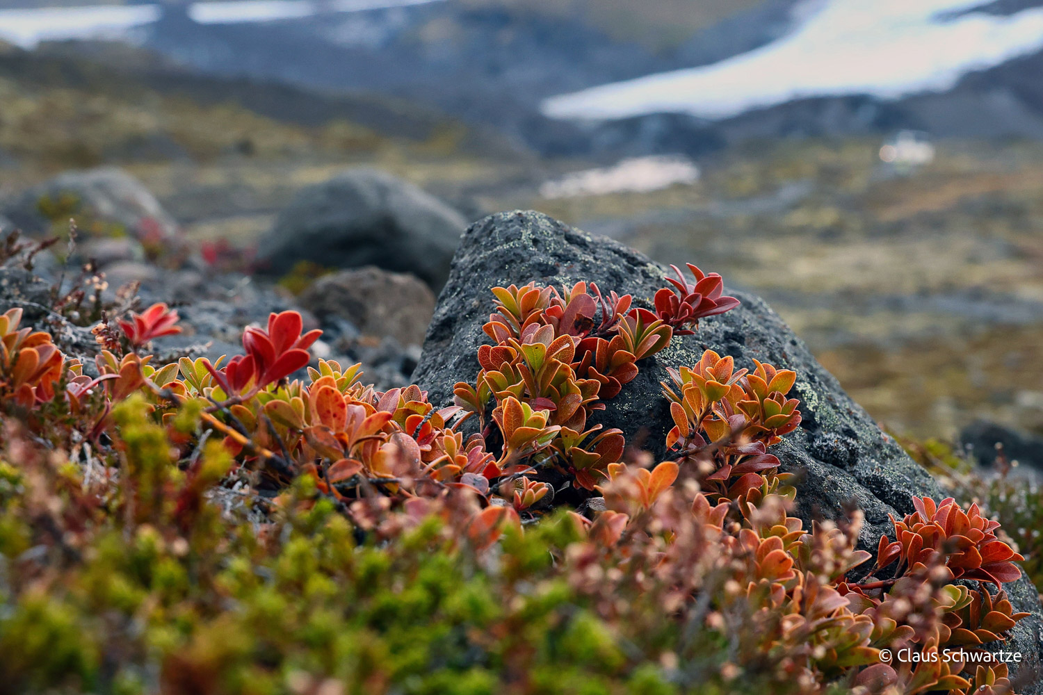 fotos-reisegruppe-island-oktober-2025-206