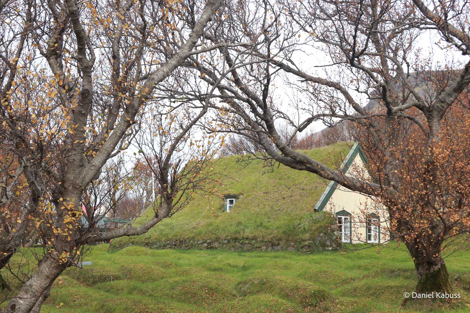 fotos-reisegruppe-island-oktober-2025-214