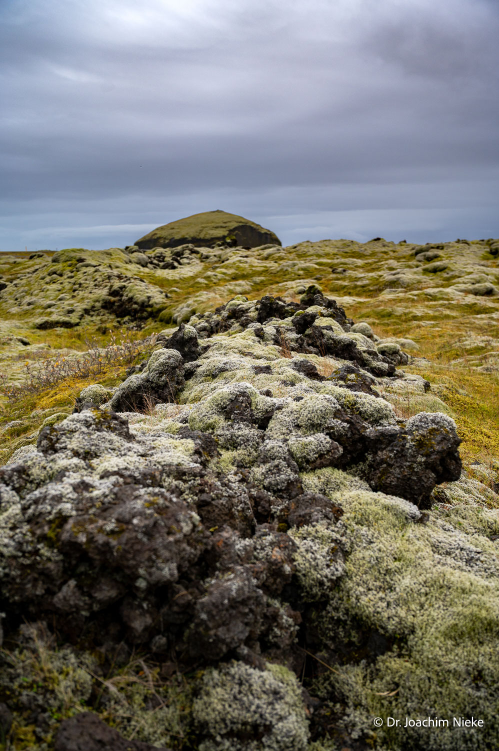 fotos-reisegruppe-island-oktober-2025-221