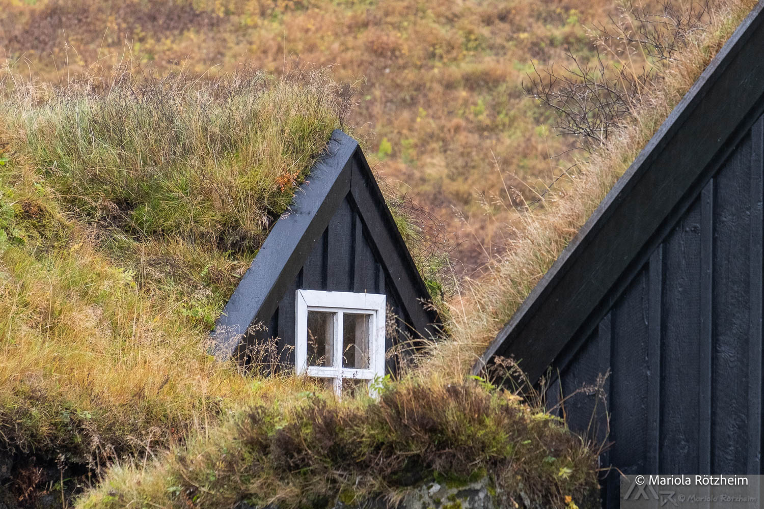 fotos-reisegruppe-island-oktober-2025-238