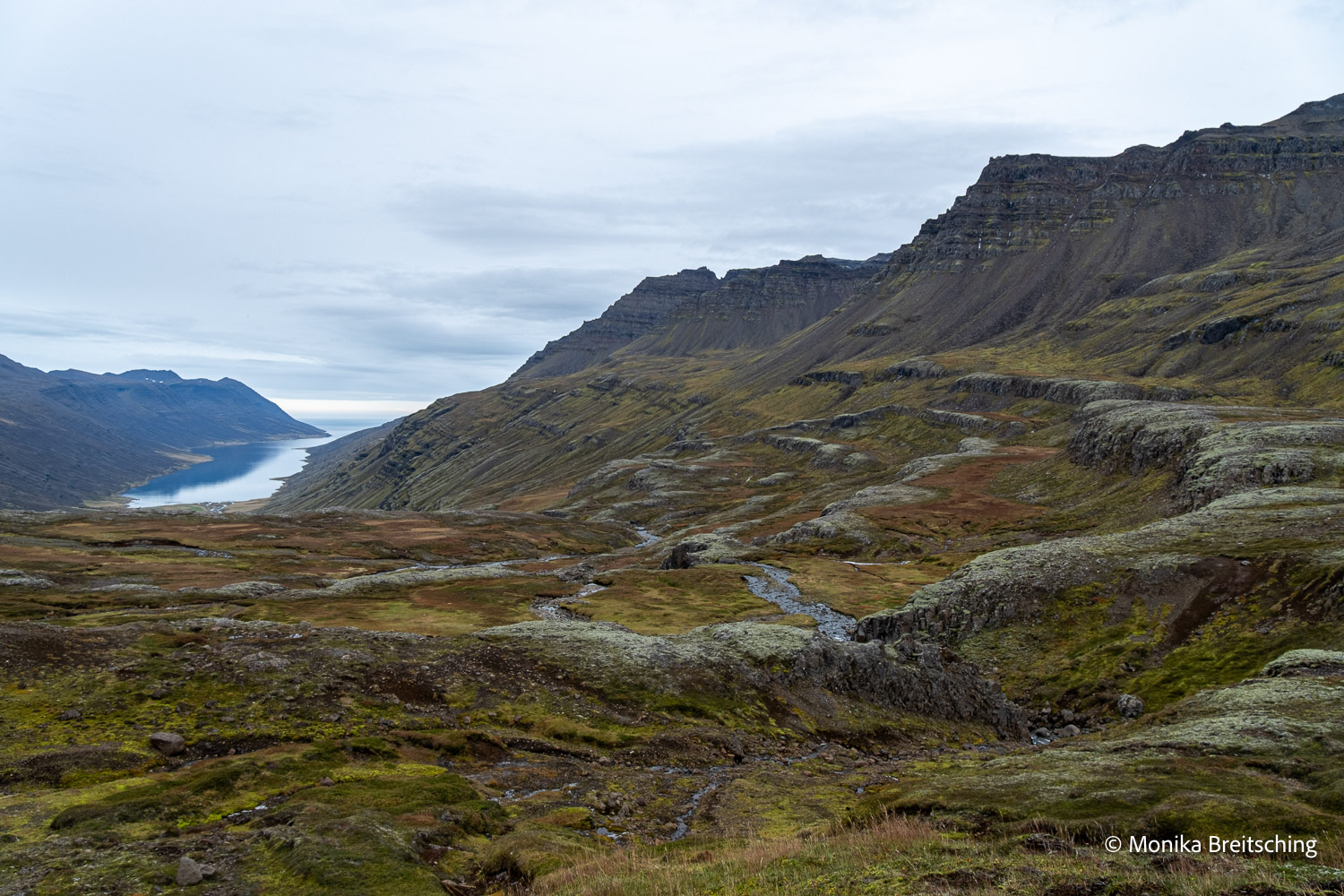 fotos-reisegruppe-island-oktober-2025-240