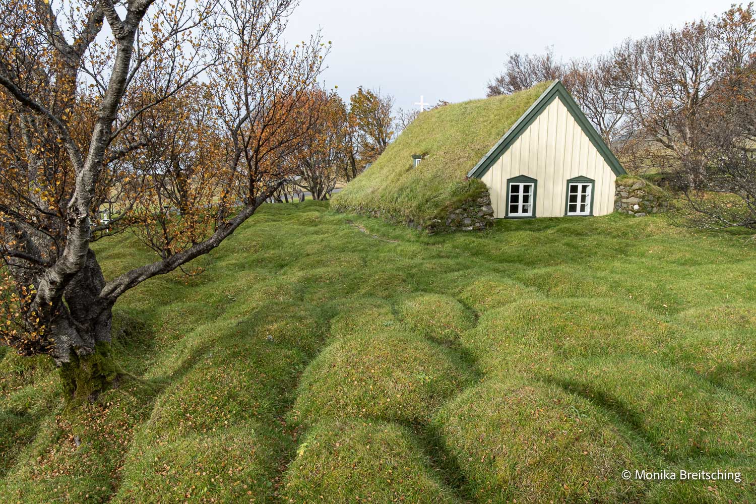 fotos-reisegruppe-island-oktober-2025-242