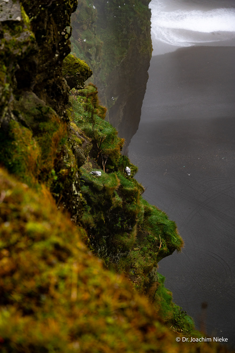 fotos-reisegruppe-island-oktober-2025-244