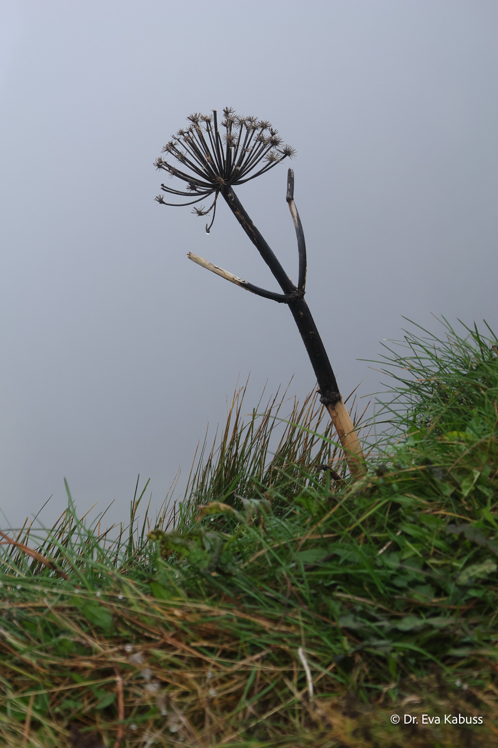 fotos-reisegruppe-island-oktober-2025-249