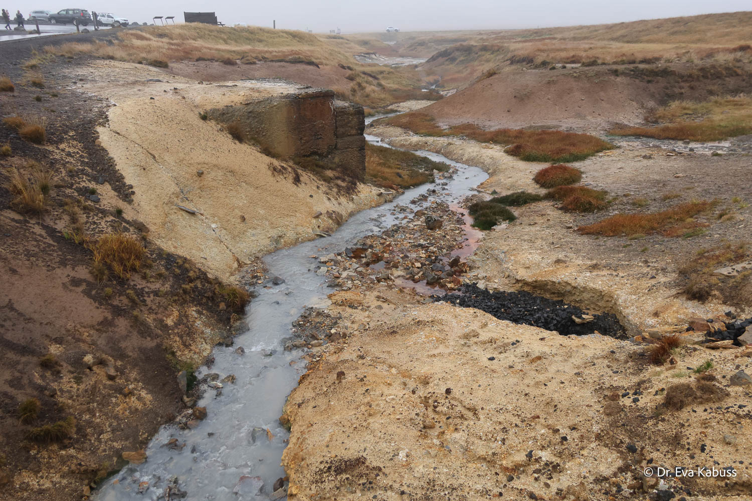 fotos-reisegruppe-island-oktober-2025-252