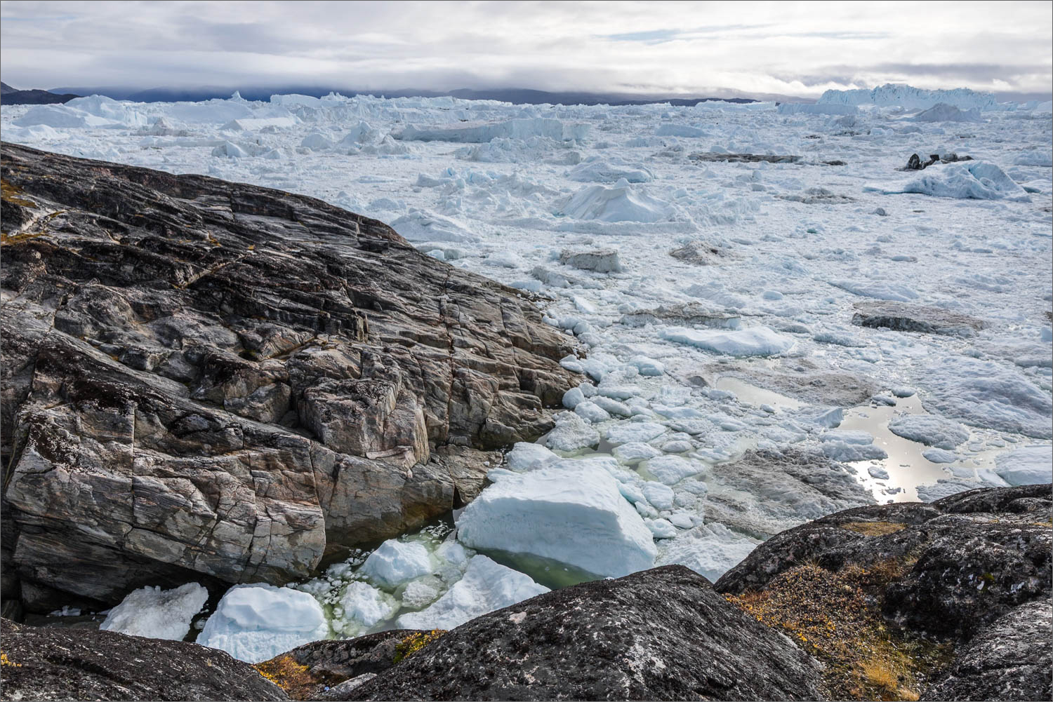 Dichtes Eisfeld im Ilulissat Eisfjord mit Felsen im Vordergrund während einer Fotoreise nach Grönland