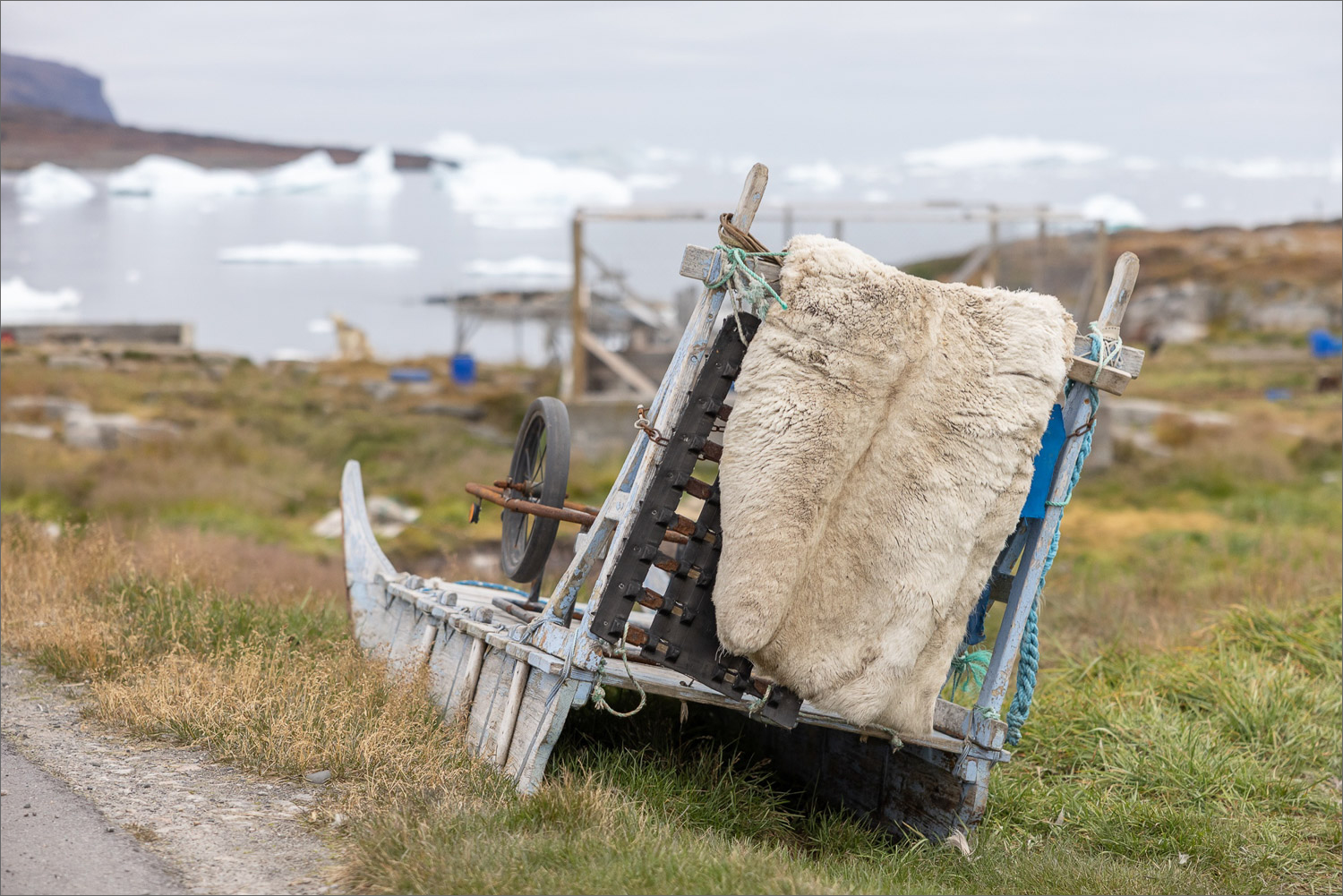 Traditioneller Hundeschlitten mit Robbenfell in Westgrönland im Sommer