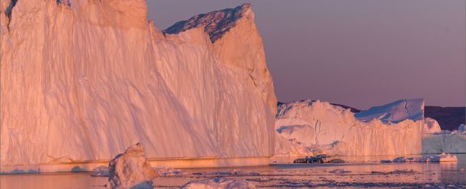 Große Eisberge in der Diskobucht bei Ilulissat im warmen Abendlicht, gespiegelt im ruhigen Wasser während der Blauen Stunde in Grönland.