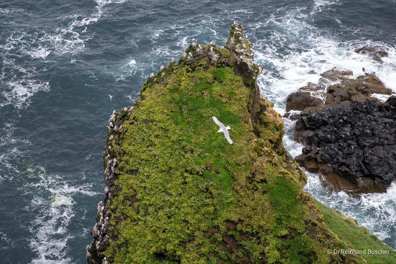 island-fotoreise-2026-teilnehmerfoto-106