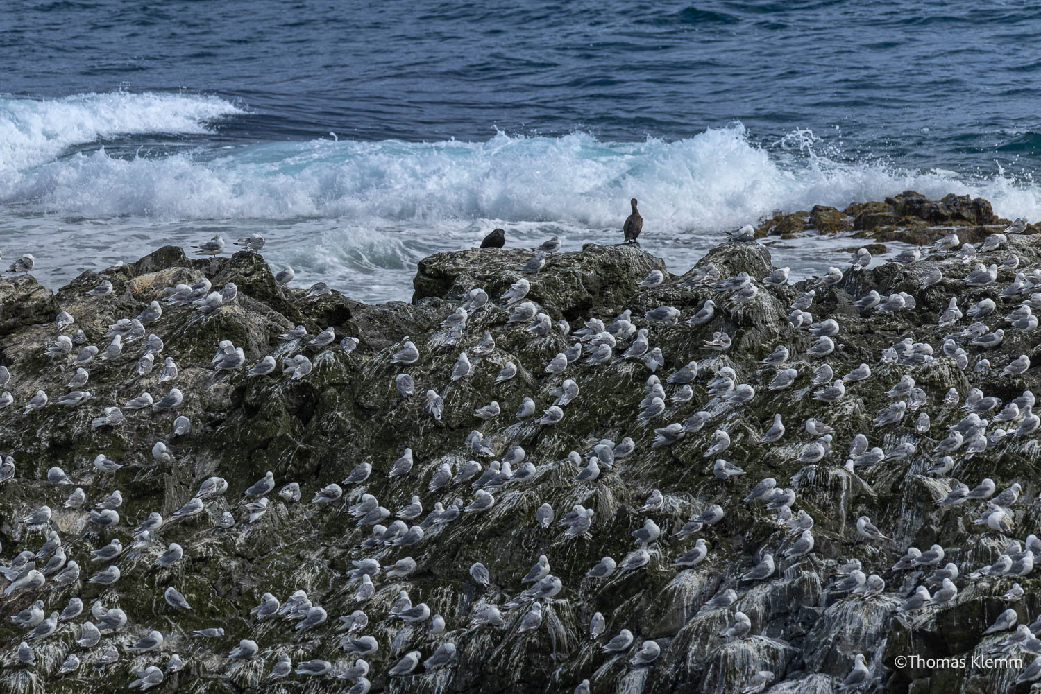 island-fotoreise-2026-teilnehmerfoto-121