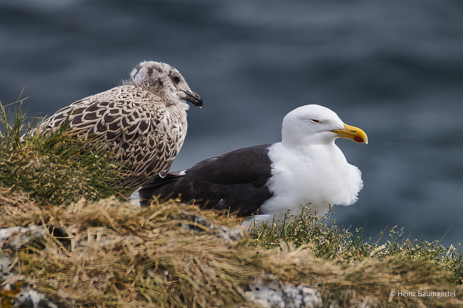 island-fotoreise-2026-teilnehmerfoto-171