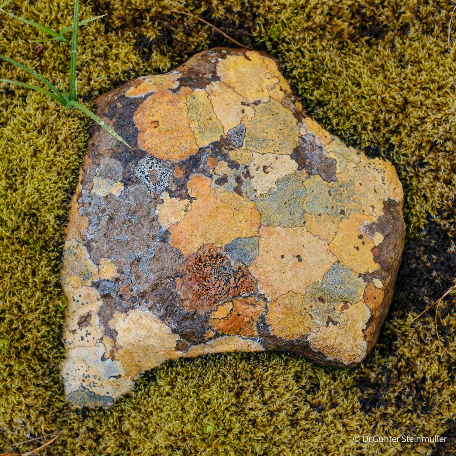 island-fotoreise-2026-teilnehmerfoto-224
