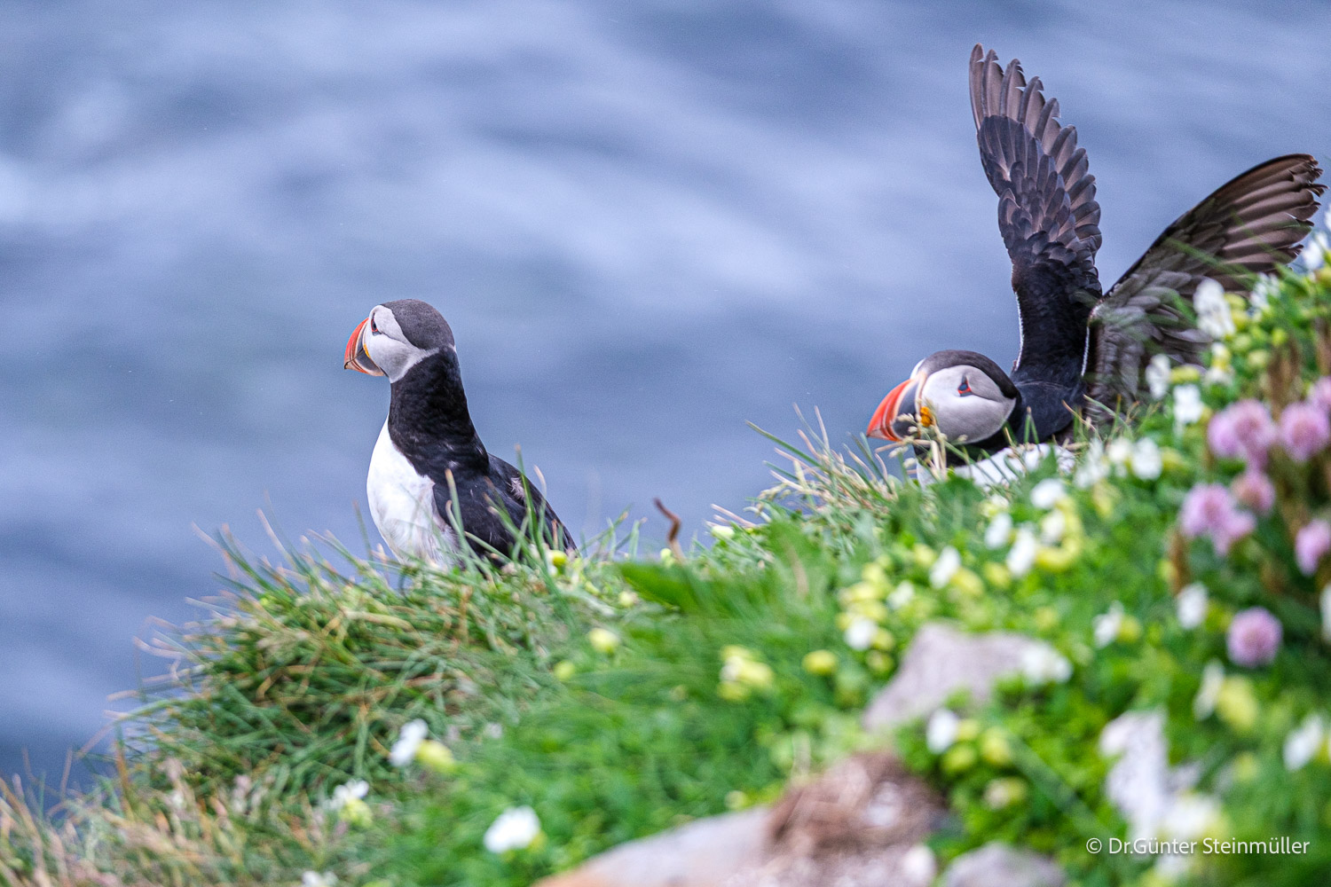island-fotoreise-2026-teilnehmerfoto-232