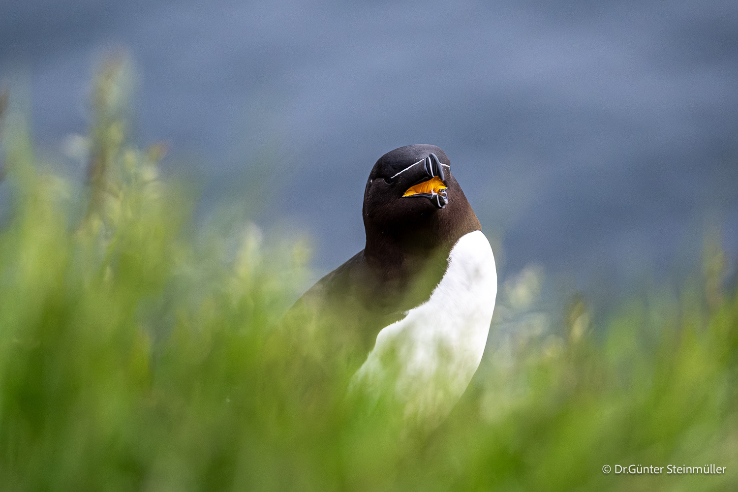 island-fotoreise-2026-teilnehmerfoto-236