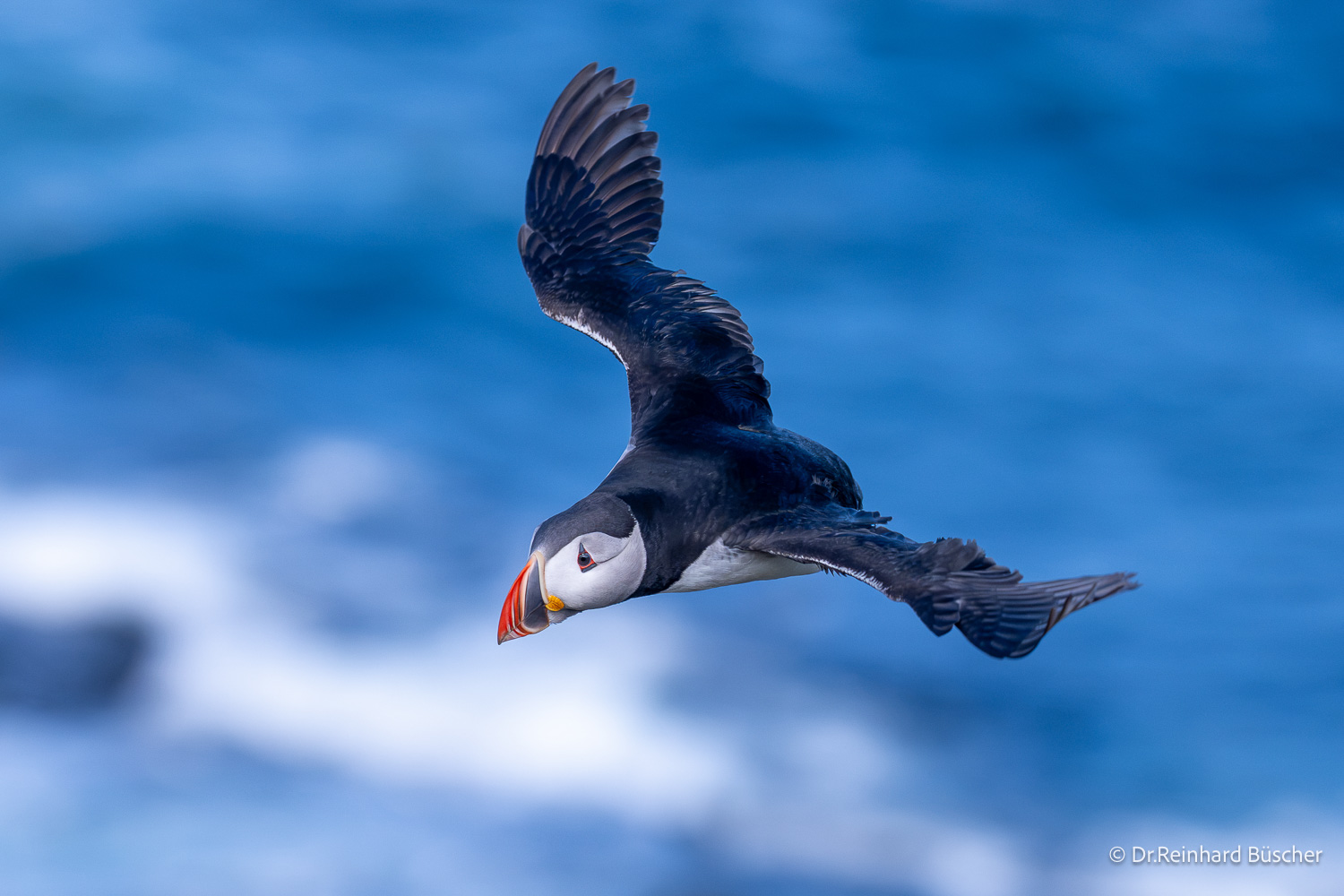 island-fotoreise-2026-teilnehmerfoto-259