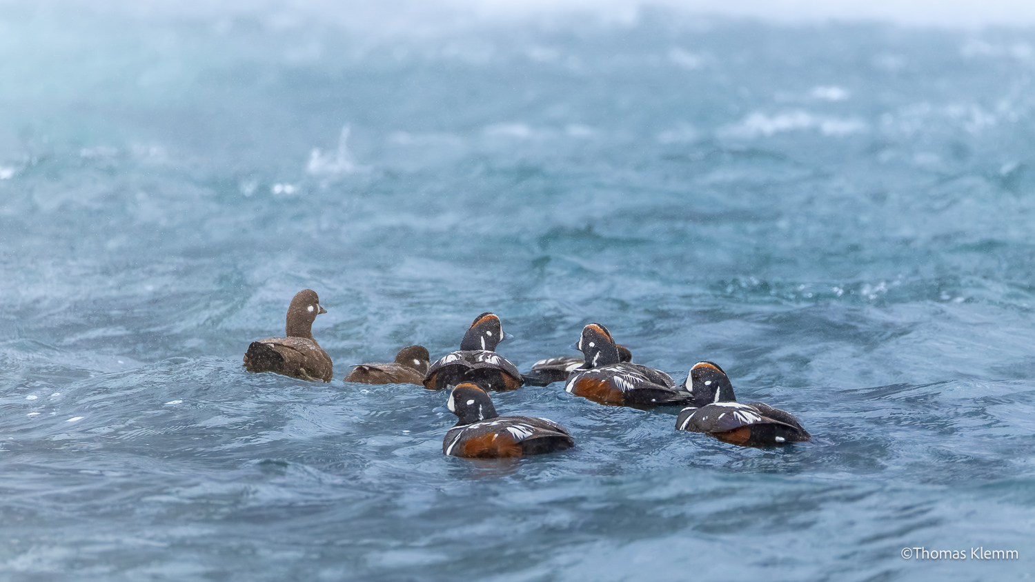 island-fotoreise-2026-teilnehmerfoto-277