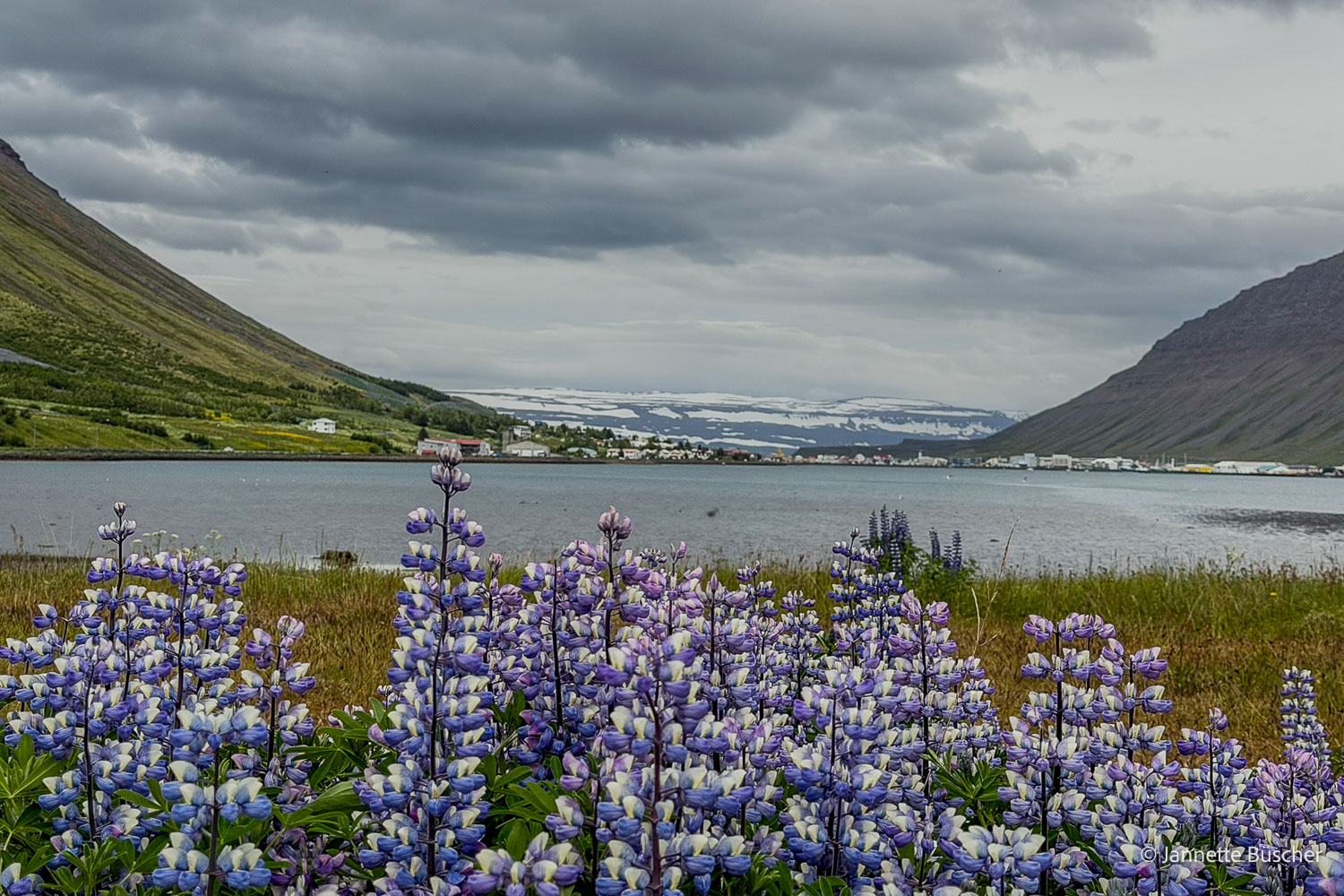 island-fotoreise-2026-teilnehmerfoto-280