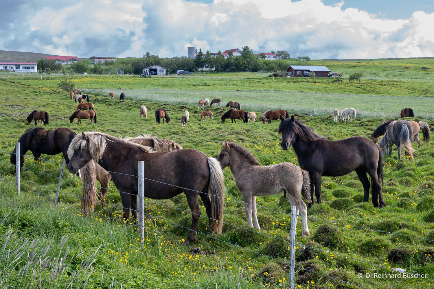 island-fotoreise-2026-teilnehmerfoto-313