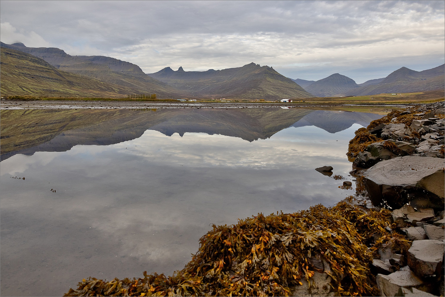 Berge und ruhiges Fjordwasser mit Spiegelung bei Fáskrúðsfjörður in den Ostfjorden Islands