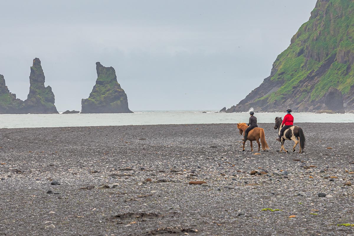 Pferdereiten auf dem schwarzen Strand der Reynisfjara Black Sand Beach in Island ist ein ganz besonderes Erlebnis