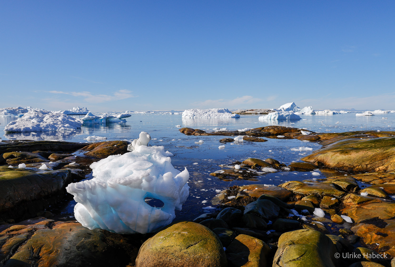 Felsen und Eisberge in der Diskobucht – Westgrönland Felsen im Vordergrund mit ruhigem Wasser und Eisbergen in der Diskobucht bei Ilulissat