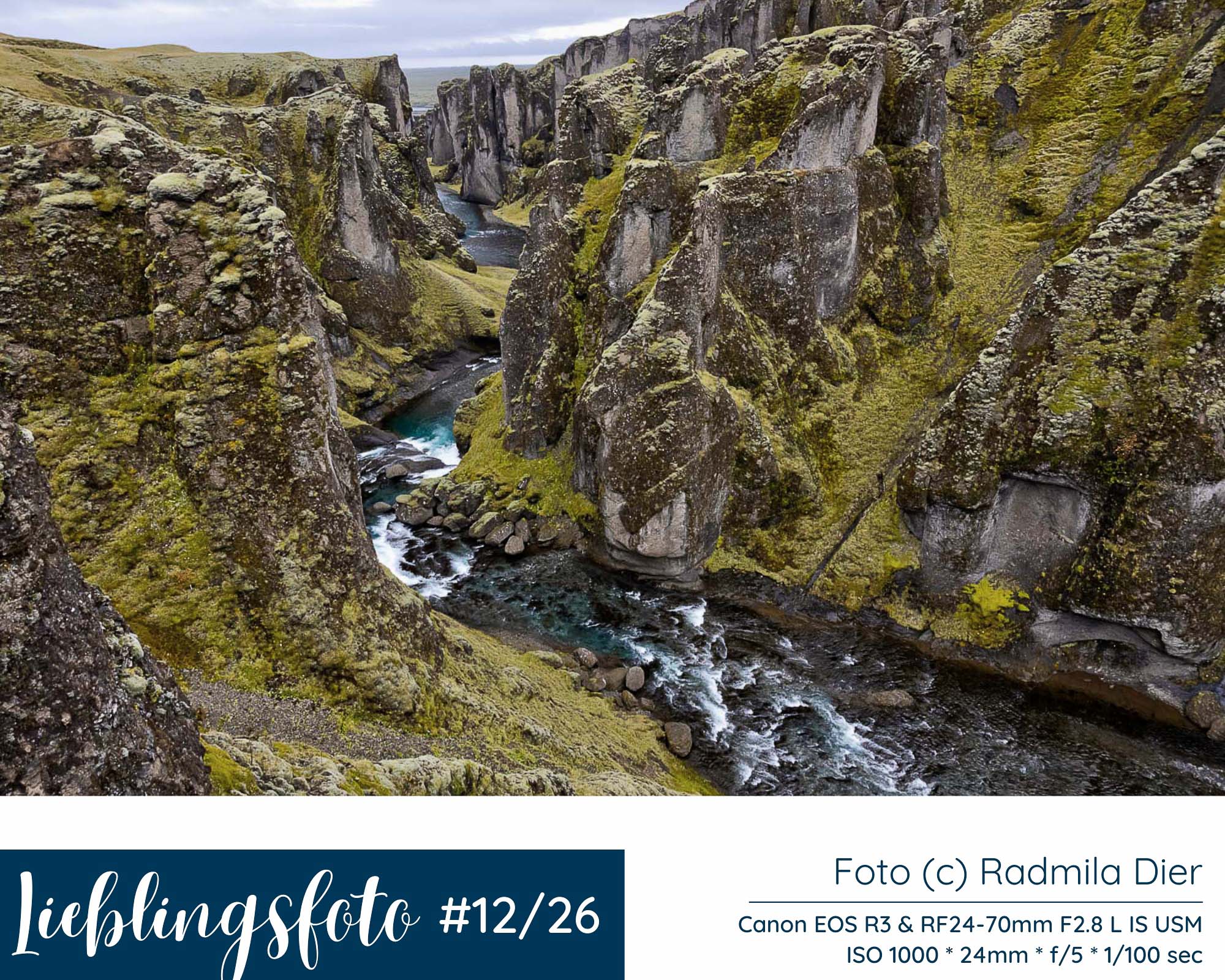Schlucht Fjaðrárgljúfur in Südisland mit moosbewachsenen Felswänden und Flusslauf, Lieblingsfoto 12/2026 von Radmila Dier