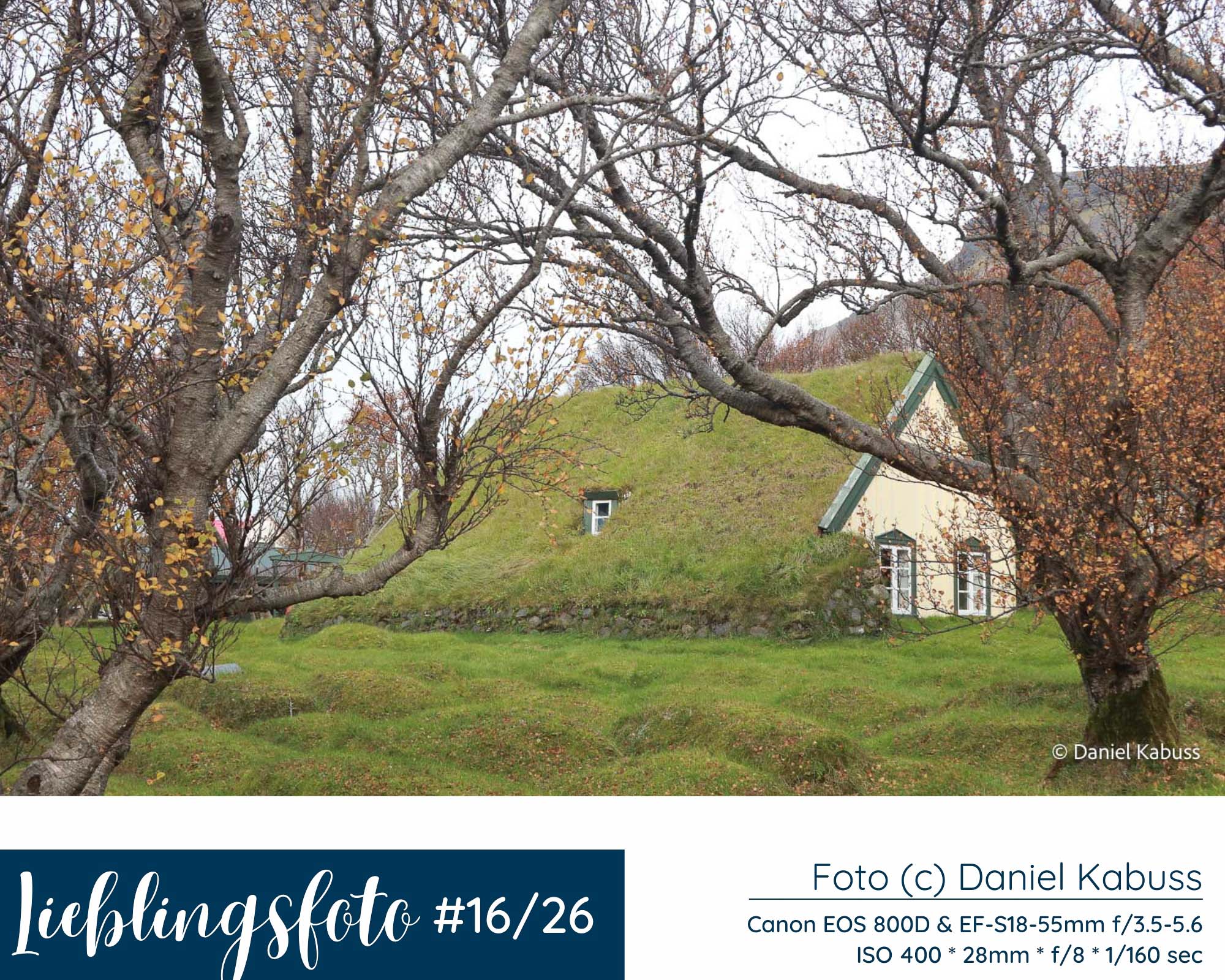 Hofskirkja Torfkirche in Island mit grasbewachsenem Dach, hellen Wänden und Bäumen im Vordergrund, Lieblingsfoto 16/2026 von Daniel Kabuss