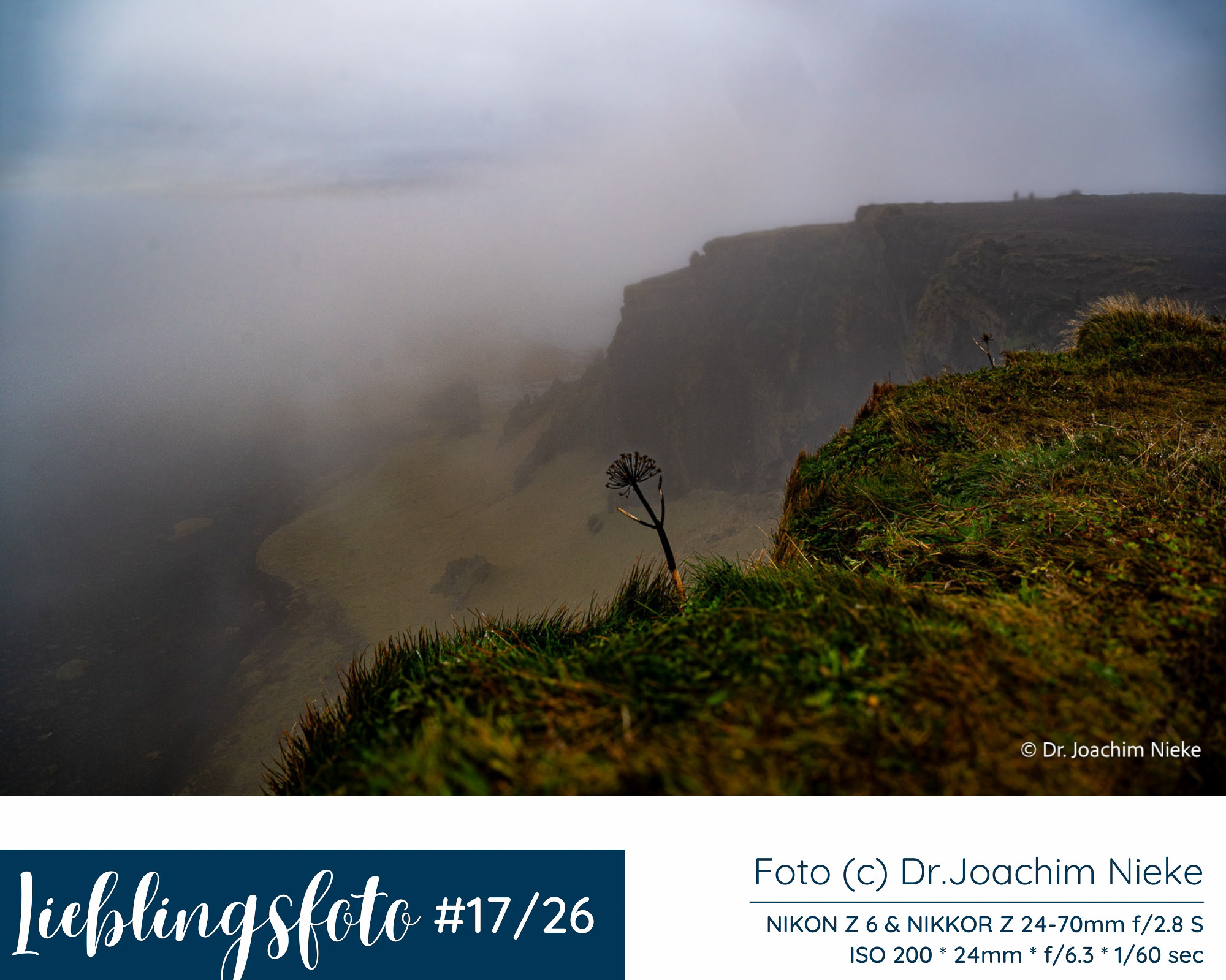 Nebel an den Klippen von Dyrhólaey in Südisland mit Gras im Vordergrund und dunklen Felsen im Hintergrund, Lieblingsfoto 17/2026 von Dr. Joachim Nieke