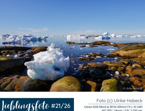 Lieblingsfotos der Woche – Archiv 2026
