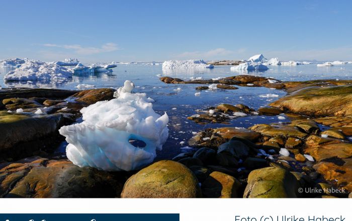 Eisberge in der Diskobucht bei Ilulissat in Westgrönland mit Felsen, ruhigem Wasser und klarem blauem Himmel