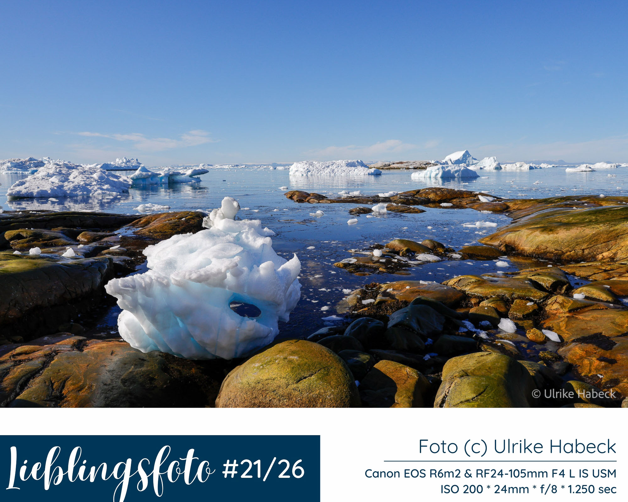 Eisberge in der Diskobucht bei Ilulissat in Westgrönland mit Felsen, ruhigem Wasser und klarem blauem Himmel