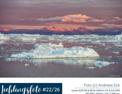 Lieblingsfotos der Woche – Archiv 2026