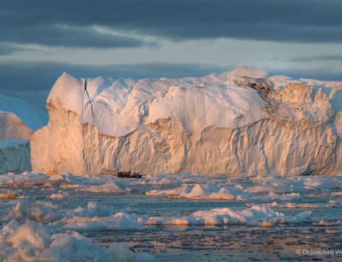 Lieblingsbild der Woche #39/26 – Eisberge in Grönland