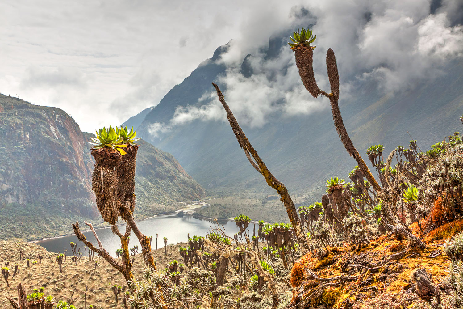 Lake Bujuku in den Mondbergen im Ruwenzori-Gebirge in Uganda