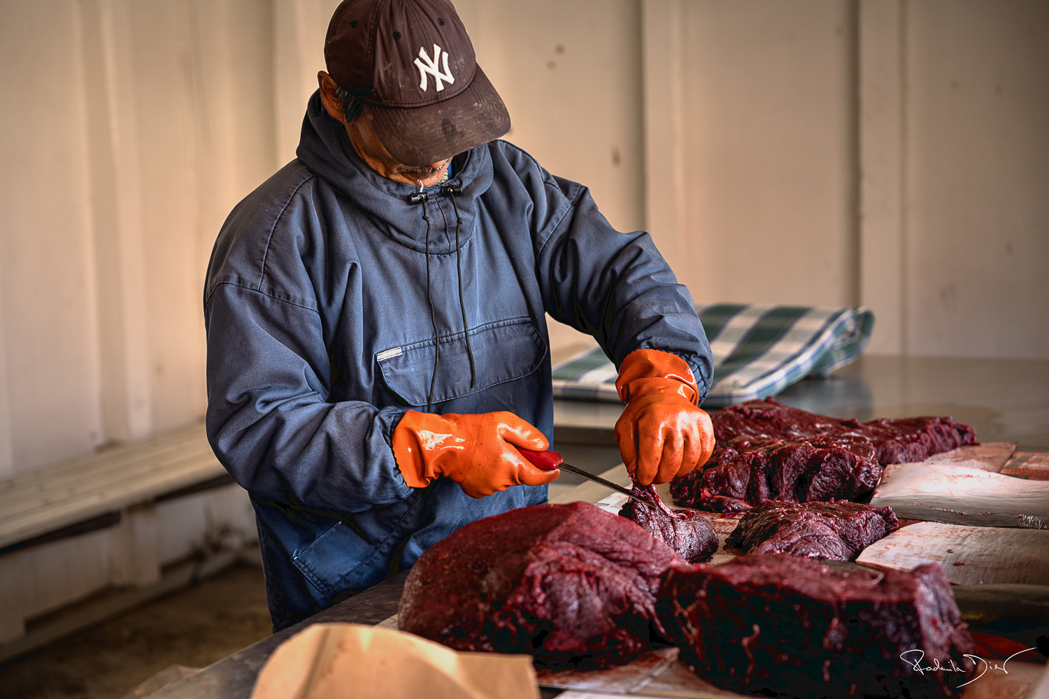 Walfleisch gehört in Grönland zur traditionellen Nahrung, ein Wal ernährt das ganze Dorf.