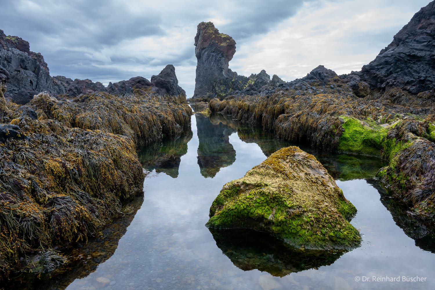 Felsnadel und ihr Spiegelbild zwischen dunklen Felsen, Tang und grünen Algen im Snæfellsjökull-Nationalpark auf Island.